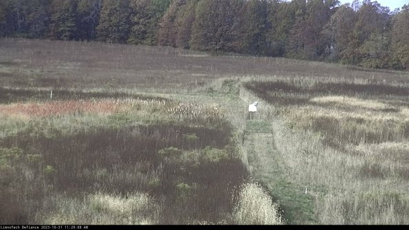 Cell 1 to 2_23-10-31_11-29-08-80