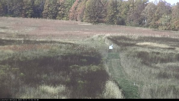 Cell 1 to 2_23-10-31_11-52-18-77