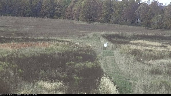 Cell 1 to 2_23-10-31_12-25-49-78