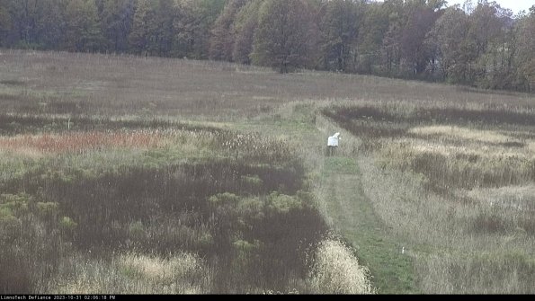 Cell 1 to 2_23-10-31_14-06-18-80