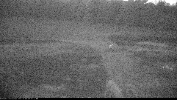 Cell 1 to 2_23-10-31_19-07-42-76