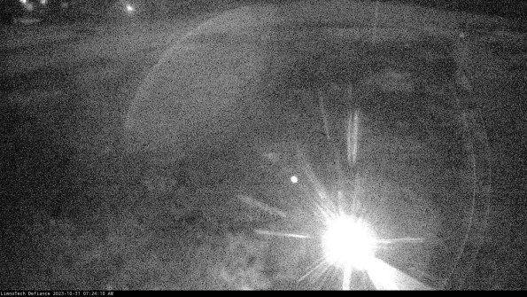 Cell 1_23-10-31_07-24-10-78