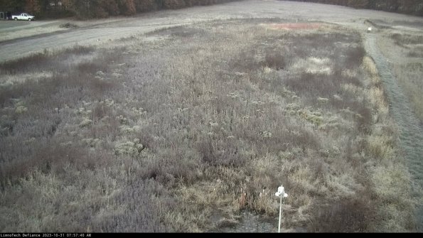 Cell 1_23-10-31_07-57-40-75