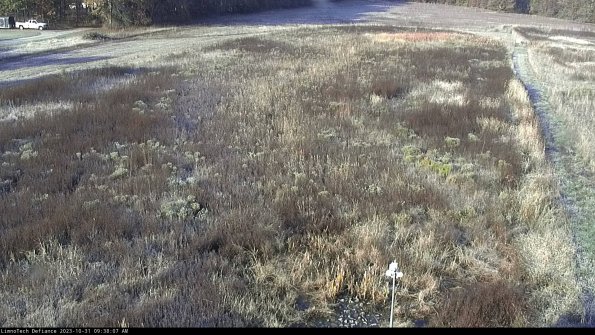 Cell 1_23-10-31_09-38-07-79