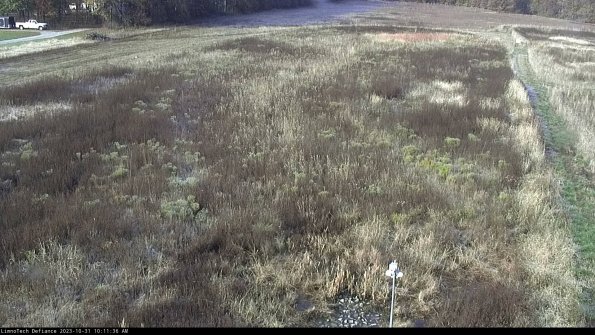 Cell 1_23-10-31_10-11-36-77