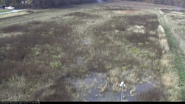 Cell 1_23-10-31_11-32-38-82