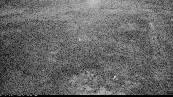 Cell 1_23-10-31_19-07-28-77