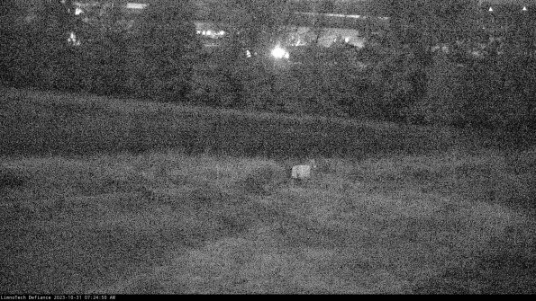 Cell 2 to 3_23-10-31_07-24-50-88