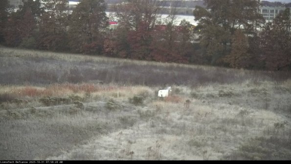 Cell 2 to 3_23-10-31_07-58-20-96