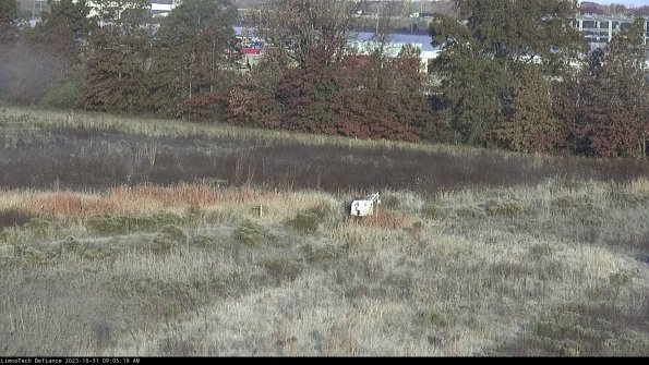 Cell 2 to 3_23-10-31_09-05-19-85