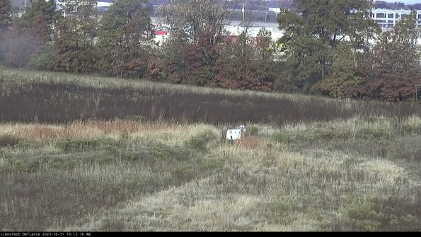 Cell 2 to 3_23-10-31_10-12-16-91