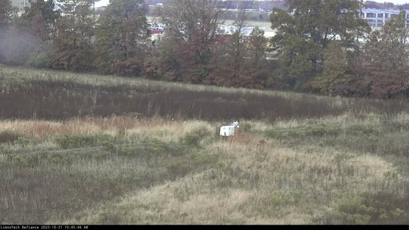 Cell 2 to 3_23-10-31_10-45-46-96