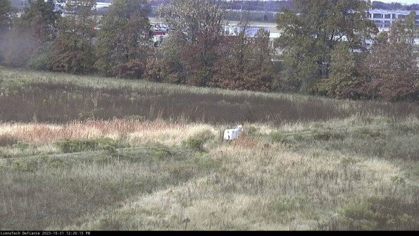 Cell 2 to 3_23-10-31_12-26-15-98