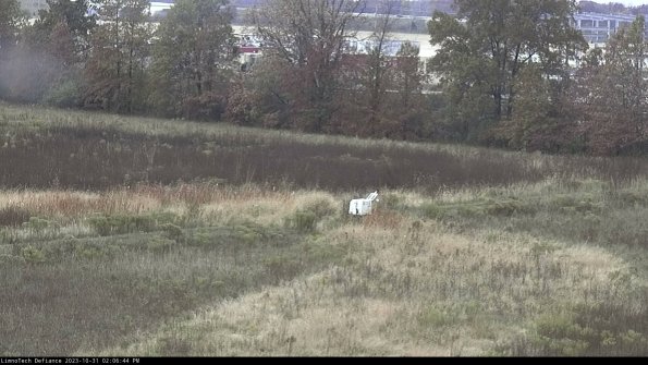 Cell 2 to 3_23-10-31_14-06-44-96