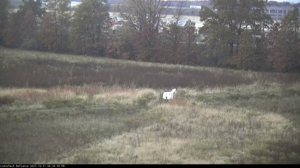 Cell 2 to 3_23-10-31_18-34-38-90