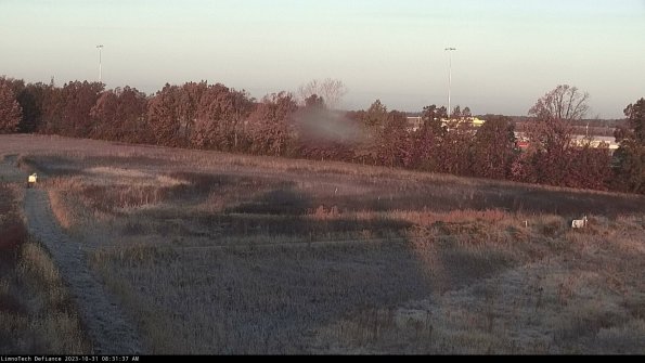 Cell 2_23-10-31_08-31-37-79