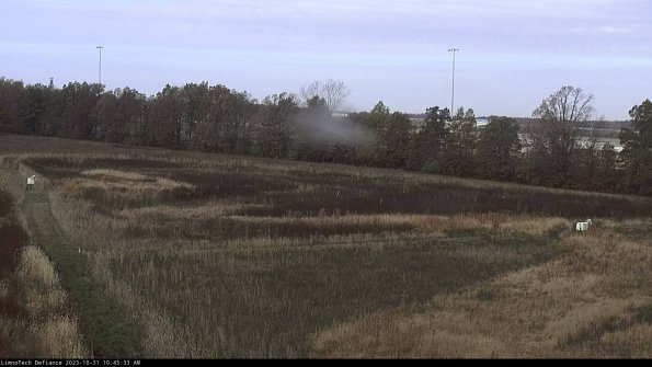 Cell 2_23-10-31_10-45-33-85