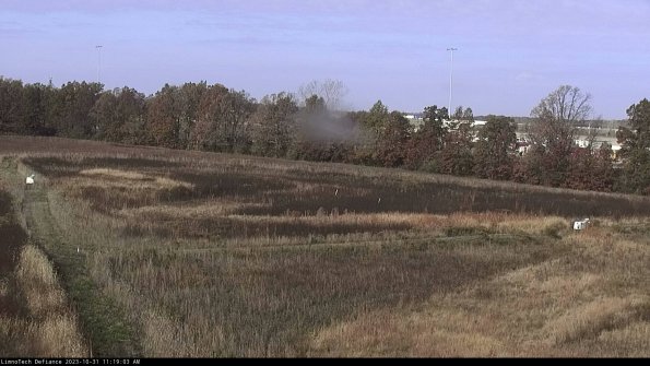 Cell 2_23-10-31_11-19-03-76