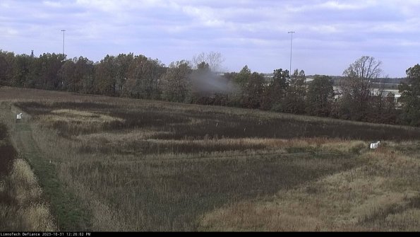 Cell 2_23-10-31_12-26-02-80