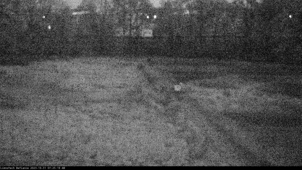 Cell 3 to 4_23-10-31_07-25-19-78