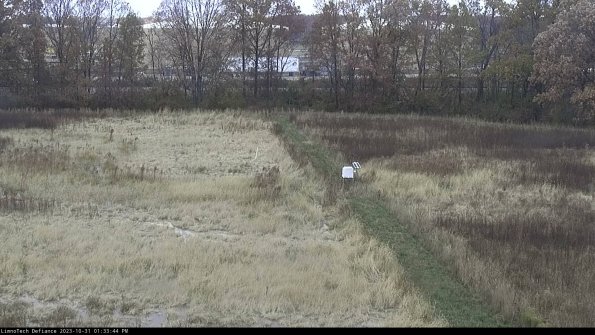 Cell 3 to 4_23-10-31_13-33-44-77