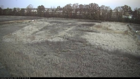 Cell 3_23-10-31_07-58-35-78