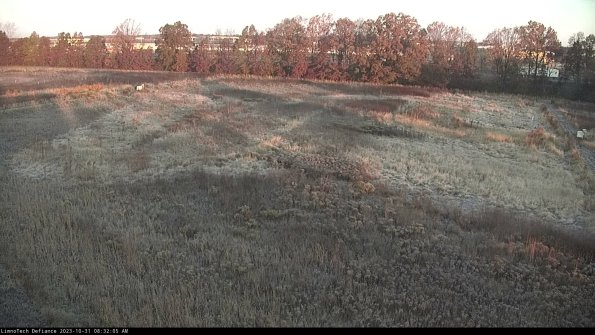 Cell 3_23-10-31_08-32-05-79