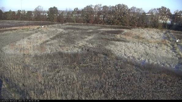 Cell 3_23-10-31_09-05-34-80