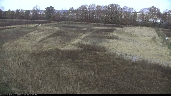 Cell 3_23-10-31_10-46-01-78