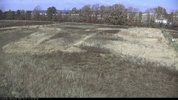 Cell 3_23-10-31_11-52-59-77