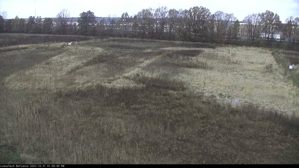 Cell 3_23-10-31_13-00-00-77