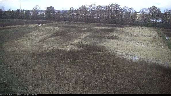 Cell 3_23-10-31_18-34-53-78