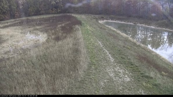 Cell 4 to Basin_23-10-31_10-46-59-80