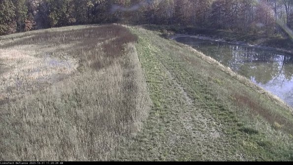 Cell 4 to Basin_23-10-31_11-20-29-78