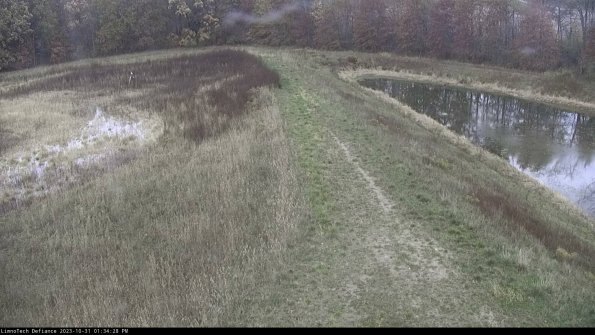 Cell 4 to Basin_23-10-31_13-34-28-78