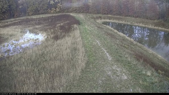 Cell 4 to Basin_23-10-31_18-02-22-76