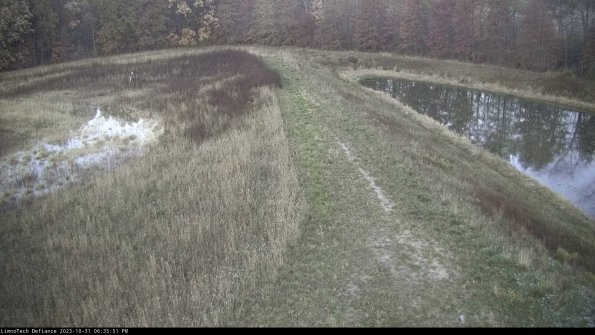 Cell 4 to Basin_23-10-31_18-35-51-81