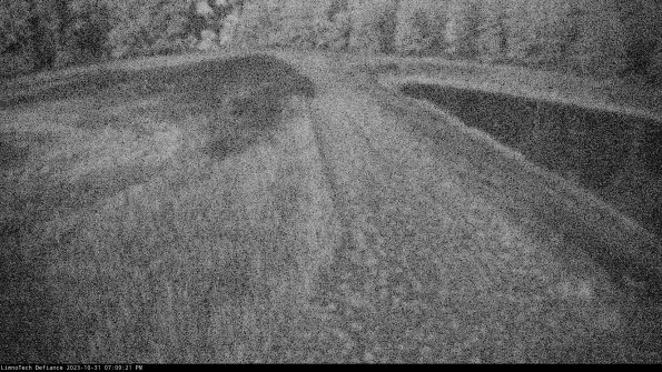 Cell 4 to Basin_23-10-31_19-09-21-79