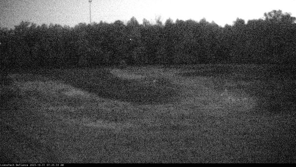 Cell 4_23-10-31_07-25-33-76