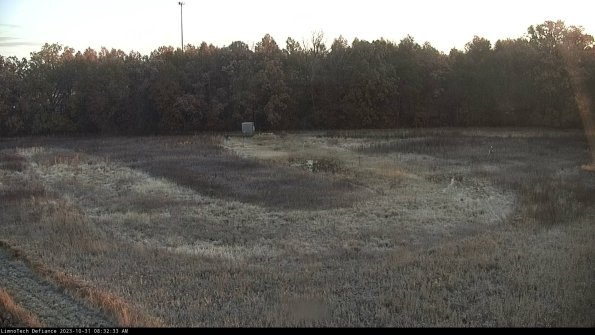 Cell 4_23-10-31_08-32-33-78