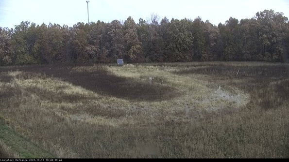 Cell 4_23-10-31_10-46-29-77