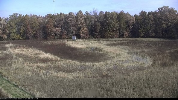 Cell 4_23-10-31_11-19-59-79