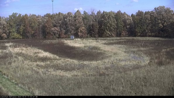 Cell 4_23-10-31_11-53-27-77