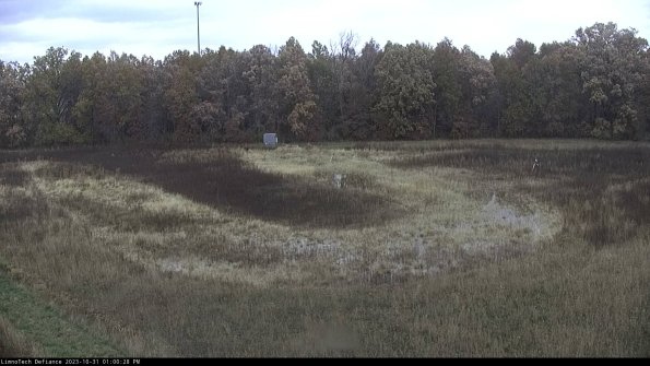 Cell 4_23-10-31_13-00-28-77