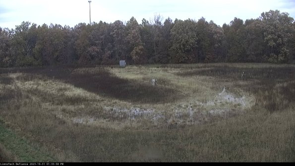 Cell 4_23-10-31_13-33-58-79