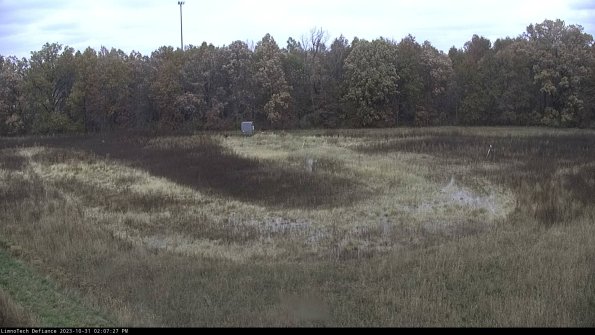 Cell 4_23-10-31_14-07-27-77