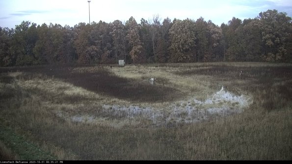 Cell 4_23-10-31_18-35-21-78