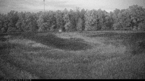 Cell 4_23-10-31_19-08-51-79