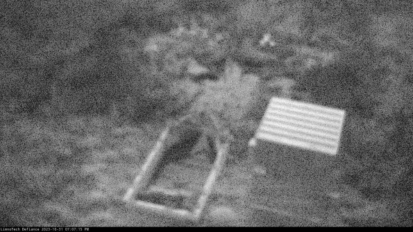 Flume_23-10-31_19-07-15-76