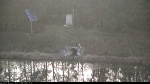 Basin Inflow_23-11-03_08-00-44-80